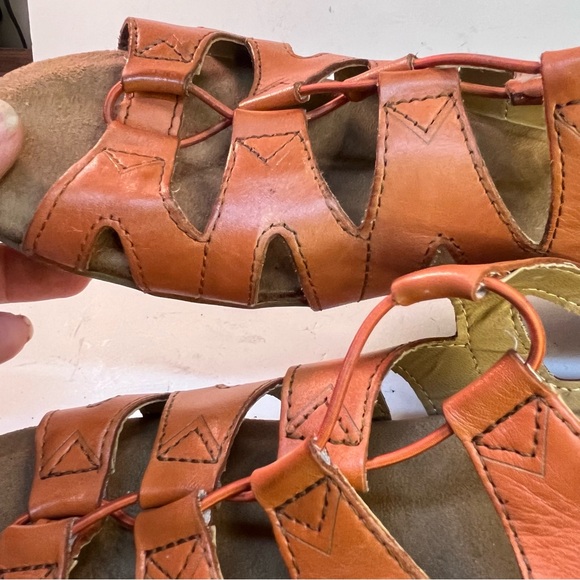 Earth Orgins 11w - Picture 11 of 13